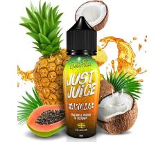 Příchuť Just Juice S&V 20ml Pineapple, Papaya & Coconut